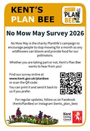 Kent's Plan Bee No Mow May Survey 2026